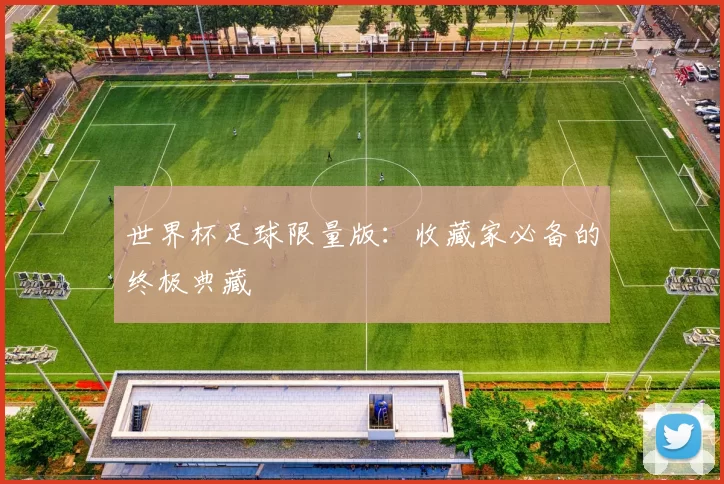 世界杯足球限量版:收藏家必备的终极典藏