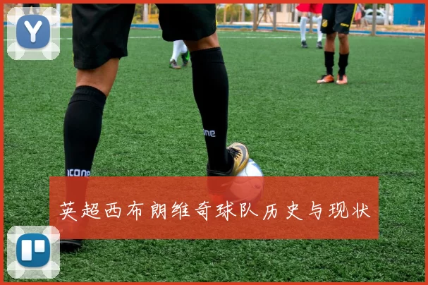 英超西布朗维奇球队历史与现状