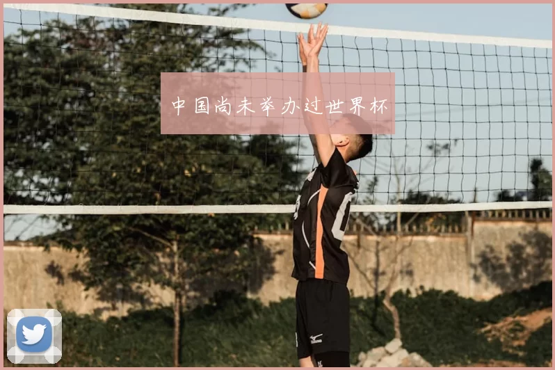 中国尚未举办过世界杯