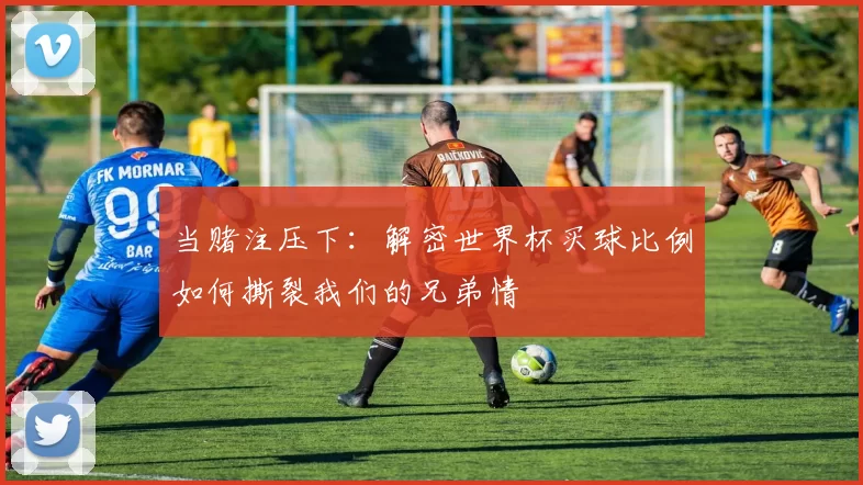 当赌注压下:解密世界杯买球比例如何撕裂我们的兄弟情