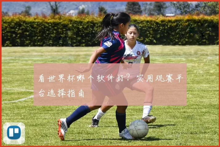 看世界杯哪个软件好？实用观赛平台选择指南