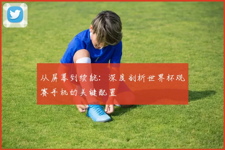 从屏幕到续航：深度剖析世界杯观赛手机的关键配置
