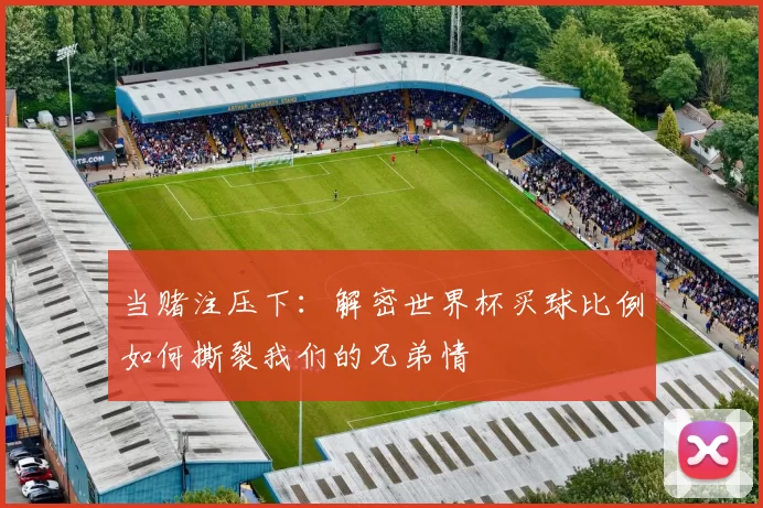 当赌注压下:解密世界杯买球比例如何撕裂我们的兄弟情