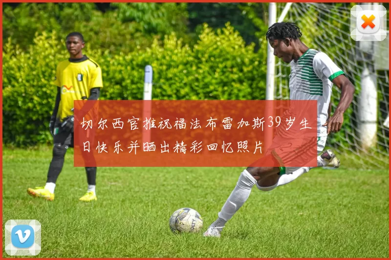 切尔西官推祝福法布雷加斯39岁生日快乐并晒出精彩回忆照片