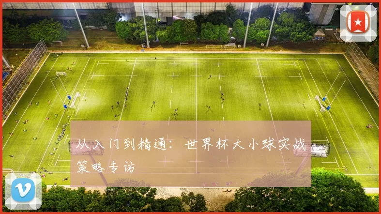 从入门到精通：世界杯大小球实战策略专访
