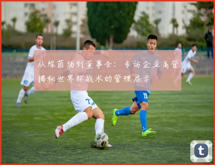 从绿茵场到董事会:专访企业高管揭秘世界杯战术的管理启示