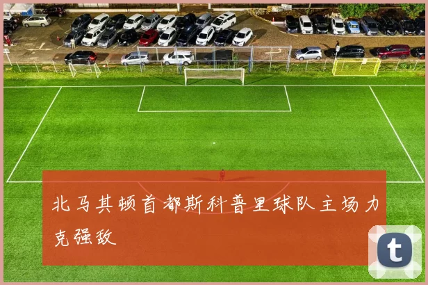 北马其顿首都斯科普里球队主场力克强敌