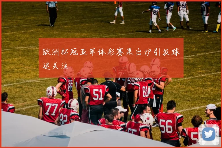 欧洲杯冠亚军体彩赛果出炉引发球迷关注