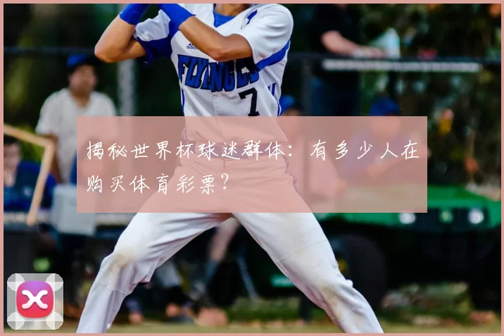 揭秘世界杯球迷群体:有多少人在购买体育彩票?