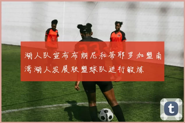 湖人队宣布布朗尼和蒂耶罗加盟南湾湖人发展联盟球队进行锻炼