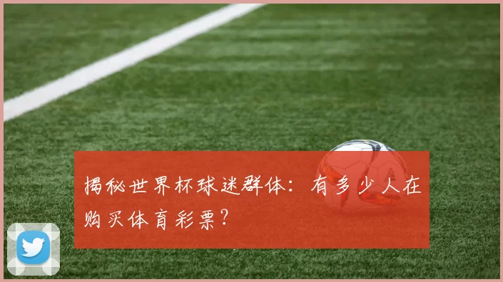 揭秘世界杯球迷群体:有多少人在购买体育彩票?