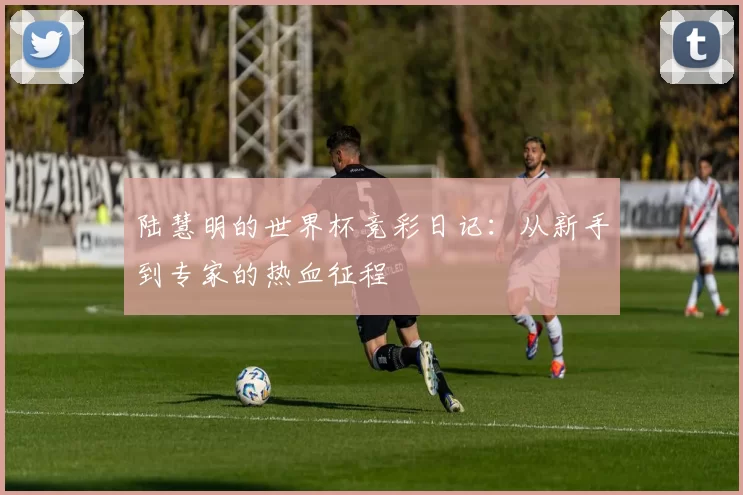 陆慧明的世界杯竞彩日记:从新手到专家的热血征程